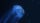 Preview image of “nanoFlowcell – Quant”