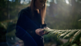 Parasol Island - Integrated Digital Studio